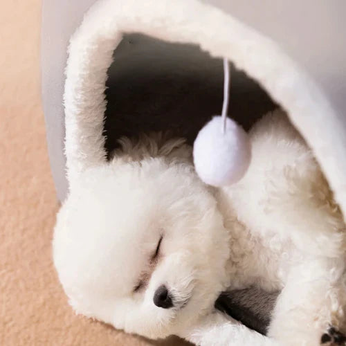 Animal dream house