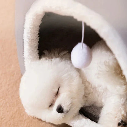 Animal dream house