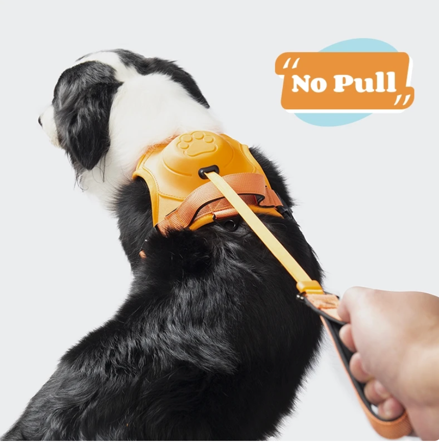 Dog harness with retractable leash
