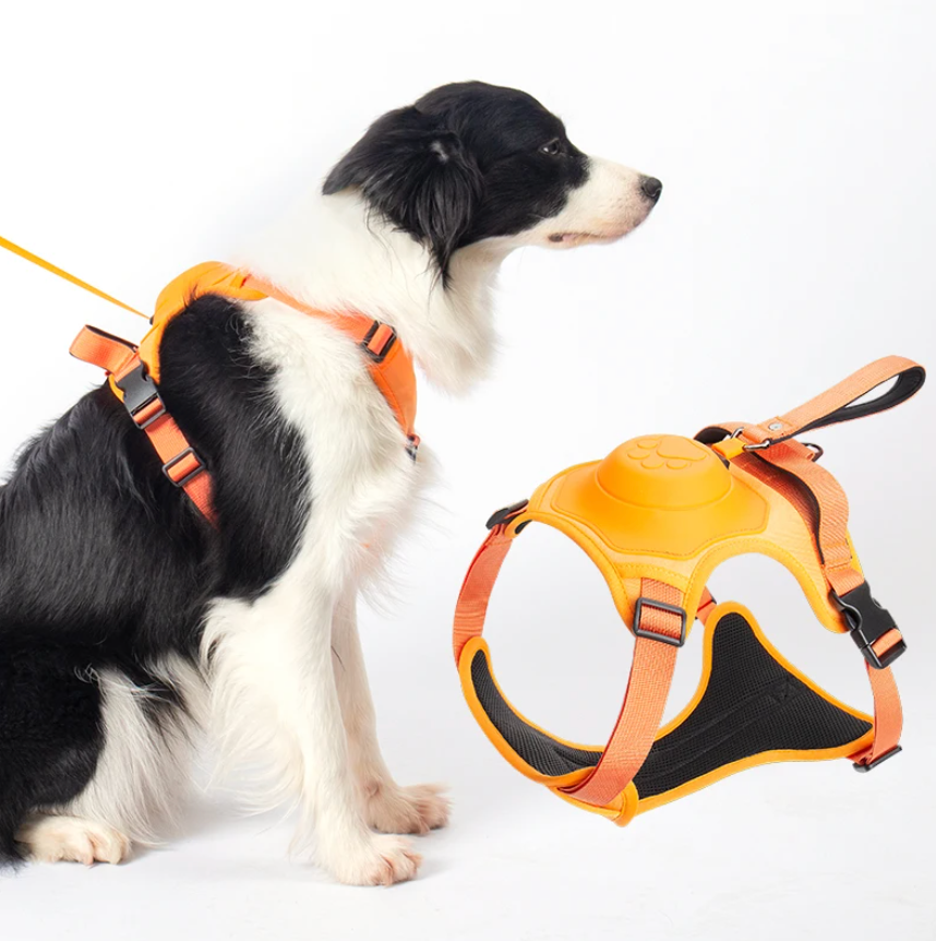 Dog harness with retractable leash