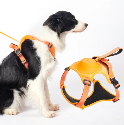 Dog harness with retractable leash